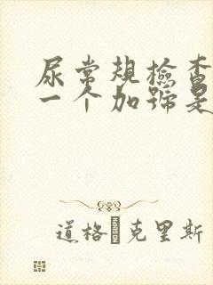 尿常规检查隐血一个加号是什么意思