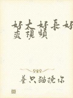 好大好长好粗好爽视频