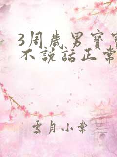 3周岁男宝宝还不说话正常吗