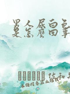 男人尿白色的尿是怎么回事