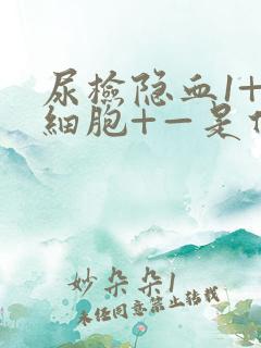 尿检隐血1+白细胞+—是什么意思