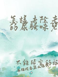 怎样去除老鼠尿的尿骚味儿?