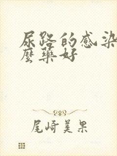 尿路的感染吃什么药好