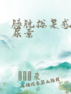 膀胱总是感觉有尿意