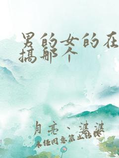 男的女的在床上搞那个