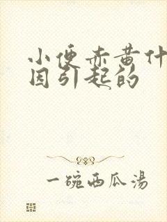 小便赤黄什么原因引起的