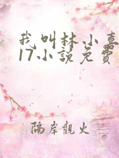 我叫林小喜今年17小说免费看