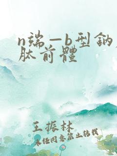 n端—b型钠尿肽前体