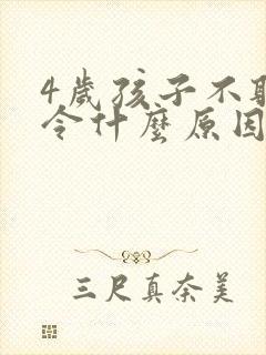 4岁孩子不听指令什么原因