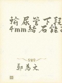 输尿管下段0.4mm结石能排出吗