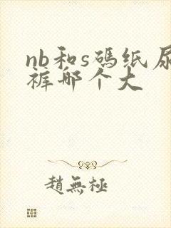 nb和s码纸尿裤哪个大