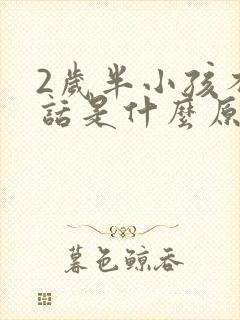 2岁半小孩不说话是什么原因