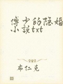 傅少的隐婚甜妻小说txt
