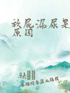 放屁漏尿是什么原因