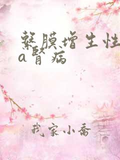 系膜增生性iga肾病