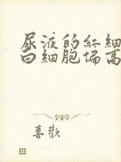 尿液的红细胞和白细胞偏高