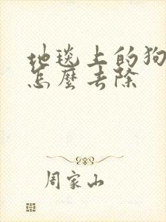 地毯上的狗尿味怎么去除