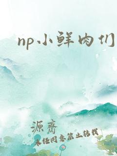 np小鲜肉们h