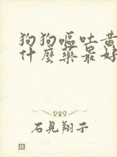 狗狗呕吐黄水吃什么药最好