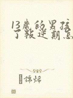 13岁的男孩到了叛逆期怎麽教