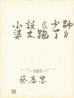 小说《少帅你老婆又跑了》