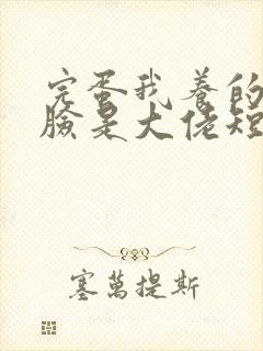 完蛋我养的小白脸是大佬短剧