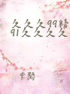 久久久99精品91久久久久