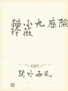 猫小九历险记猫玲薇