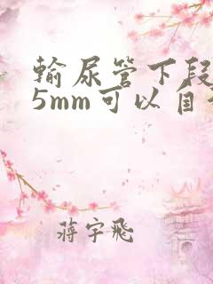 输尿管下段结石5mm可以自行排出吗