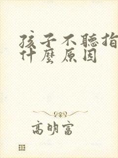 孩子不听指令是什么原因