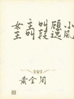 女主叫顾小曼男主叫段逸风的小说