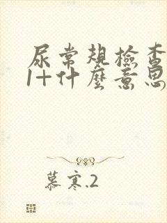 尿常规检查酮体1+什么意思