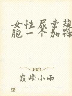 女性尿常规白细胞一个加号严重吗