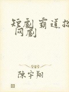 短剧 霸道总裁 网剧