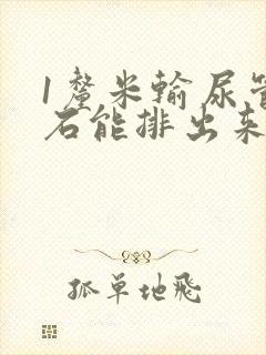 1厘米输尿管结石能排出来吗