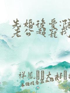 先婚后爱:隐婚老公超宠我