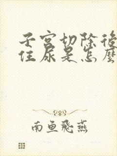 子宫切除后憋不住尿是怎么回事