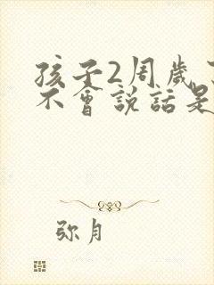 孩子2周岁了还不会说话是什么原因