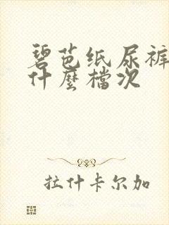 碧芭纸尿裤属于什么档次