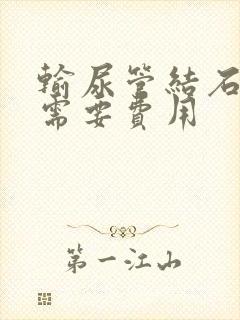 输尿管结石排石需要费用