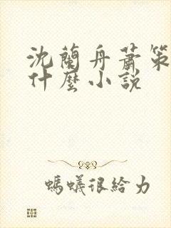 沈兰舟萧策安是什么小说