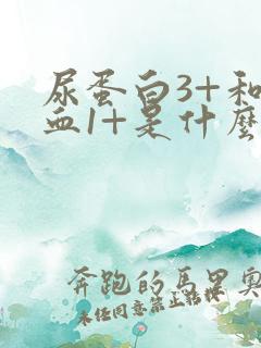 尿蛋白3+和隐血1+是什么意思,严重吗