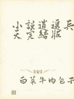 小说逍遥兵王洛天完结版