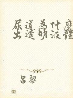 尿道为什么会流出透明液体