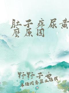 肚子疼尿黄是什么原因