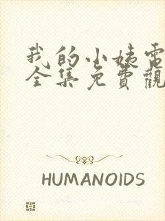 我的小姨电视剧全集免费观看