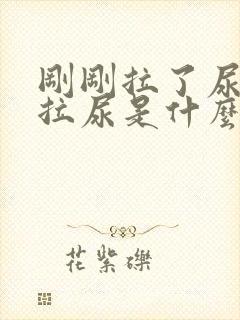 刚刚拉了尿又想拉尿是什么原因