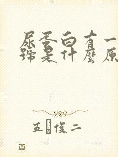 尿蛋白有一个加号是什么原因