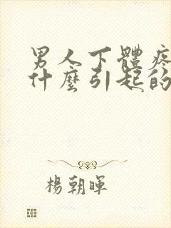 男人下体疼痛是什么引起的