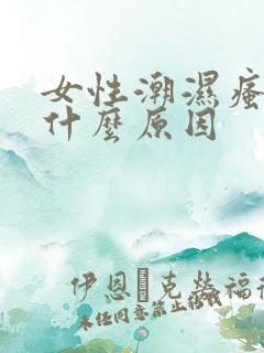 女性潮湿瘙痒是什么原因